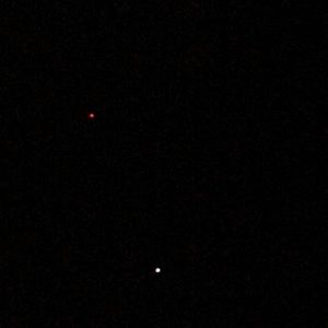 Meet your Posher, Bridgette